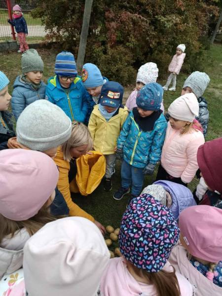 555974763_826040229952091_9070239686918261556_n