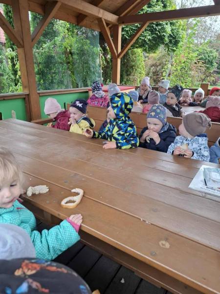 556484286_826039419952172_8515253085623073161_n