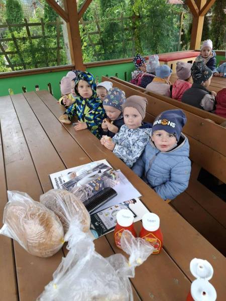 556848655_826039069952207_2735802518729864870_n