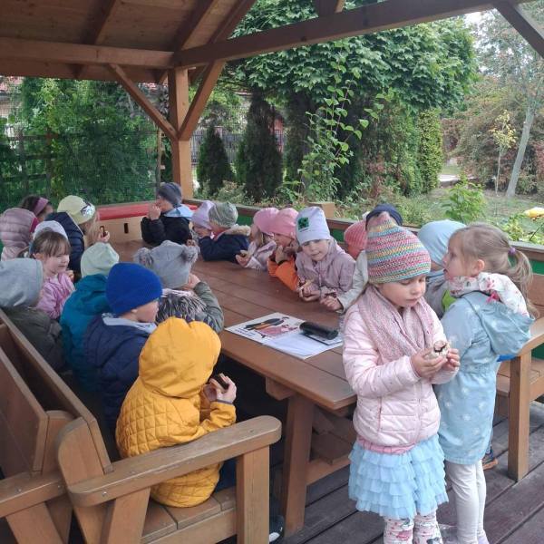 556882620_826040933285354_2951749632395421371_n