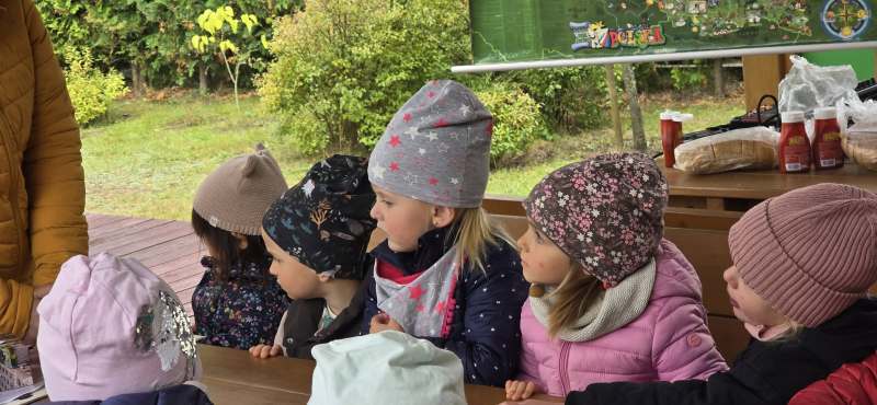 556950146_826042403285207_2294449198167233485_n