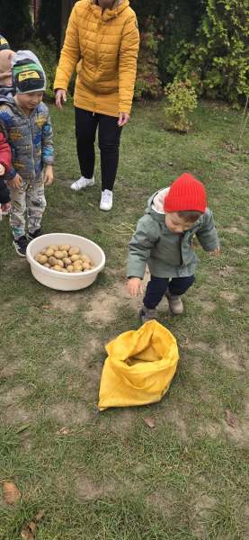 556974535_826038466618934_513169921003909197_n