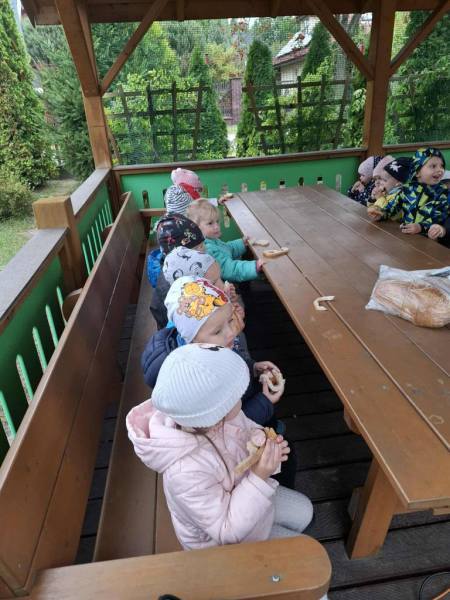 557098390_826039183285529_8845248492492735881_n