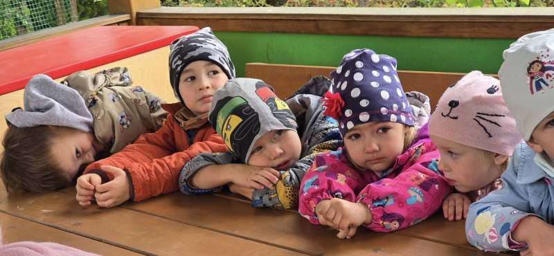 558282944_826042486618532_3008034153873923138_n