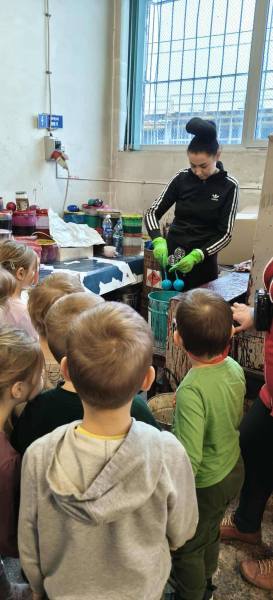 591720177_875881581634622_7682043117002211379