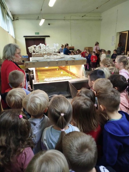 589356049_874220391800741_674547275199804094