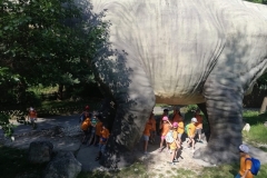 Wycieczka do Bałtowa gr V i VI