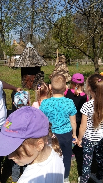 58842256_290585385216567_3612806037037383680_n