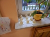 dscn1556