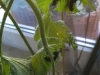 20160519_075533