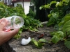 20160603_105601