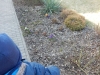 dscn2533