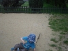 sam_1049