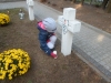 sam_0699