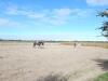 dscn1378