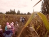 sam_0573