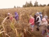 sam_0575