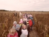 sam_0576