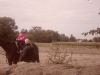 sam_0581