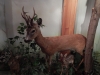 dscn1623_0