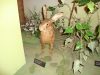 dsc02057
