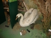 dsc02060