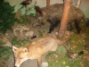 dsc02061