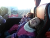 sam_1374