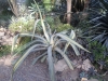 sam_1404