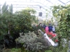 sam_1422