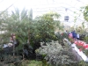 sam_1423