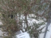 sam_1434