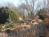 sam_1437