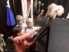 sam_0657
