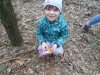 sam_1186